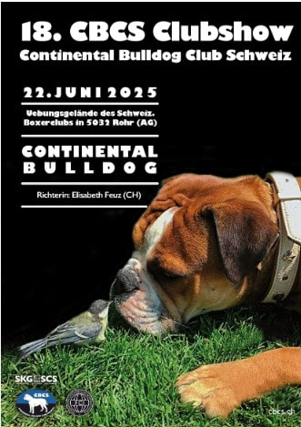 Bild